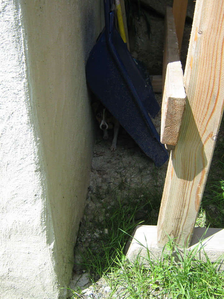 2011-0708-205